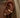Luxe Ohrstecker - JEWELINA